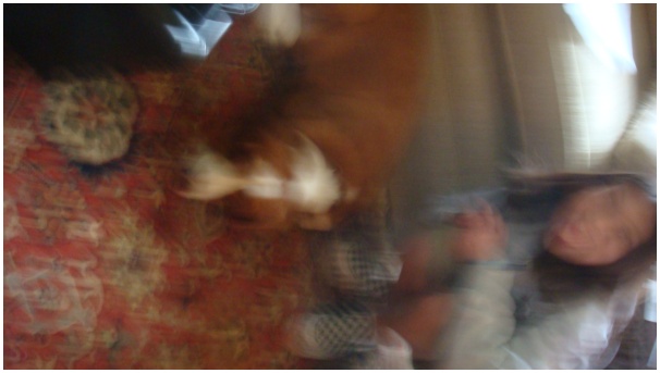 584x320 pixels (53K)