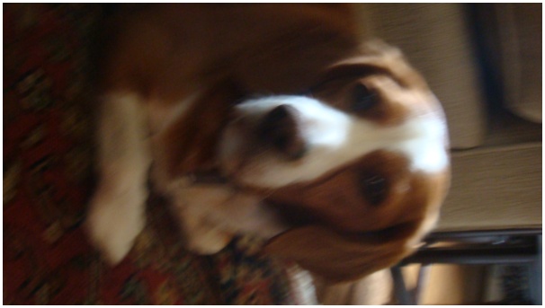 584x320 pixels (50K)