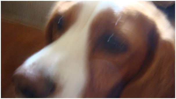 584x320 pixels (45K)