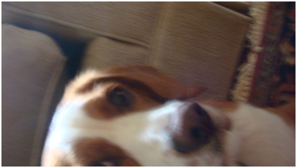 584x320 pixels (51K)
