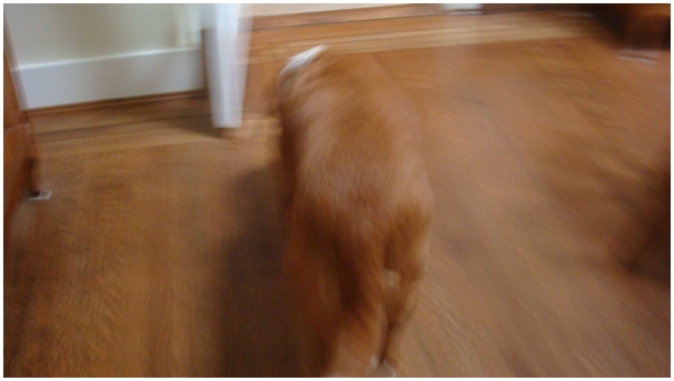 584x320 pixels (48K)