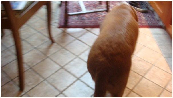 584x320 pixels (60K)
