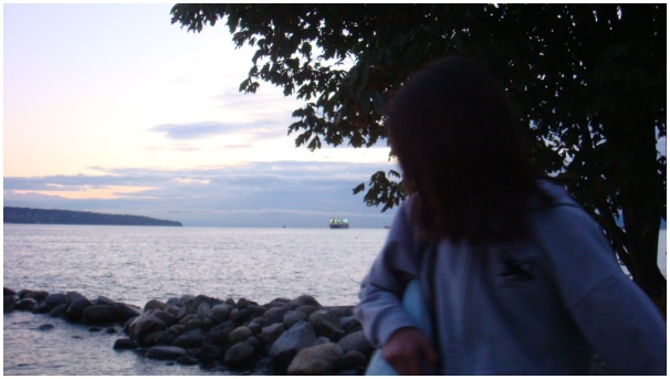 584x320 pixels (66K)