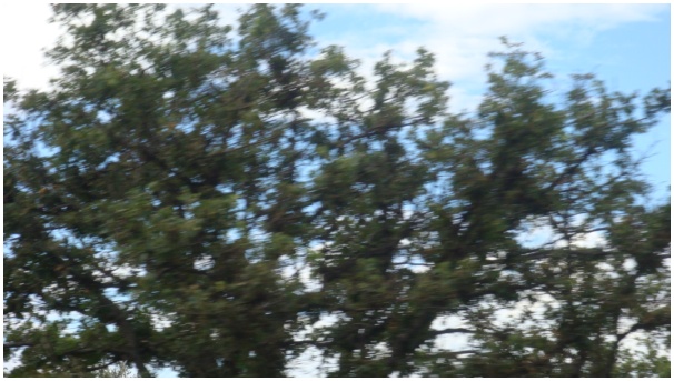 584x320 pixels (97K)